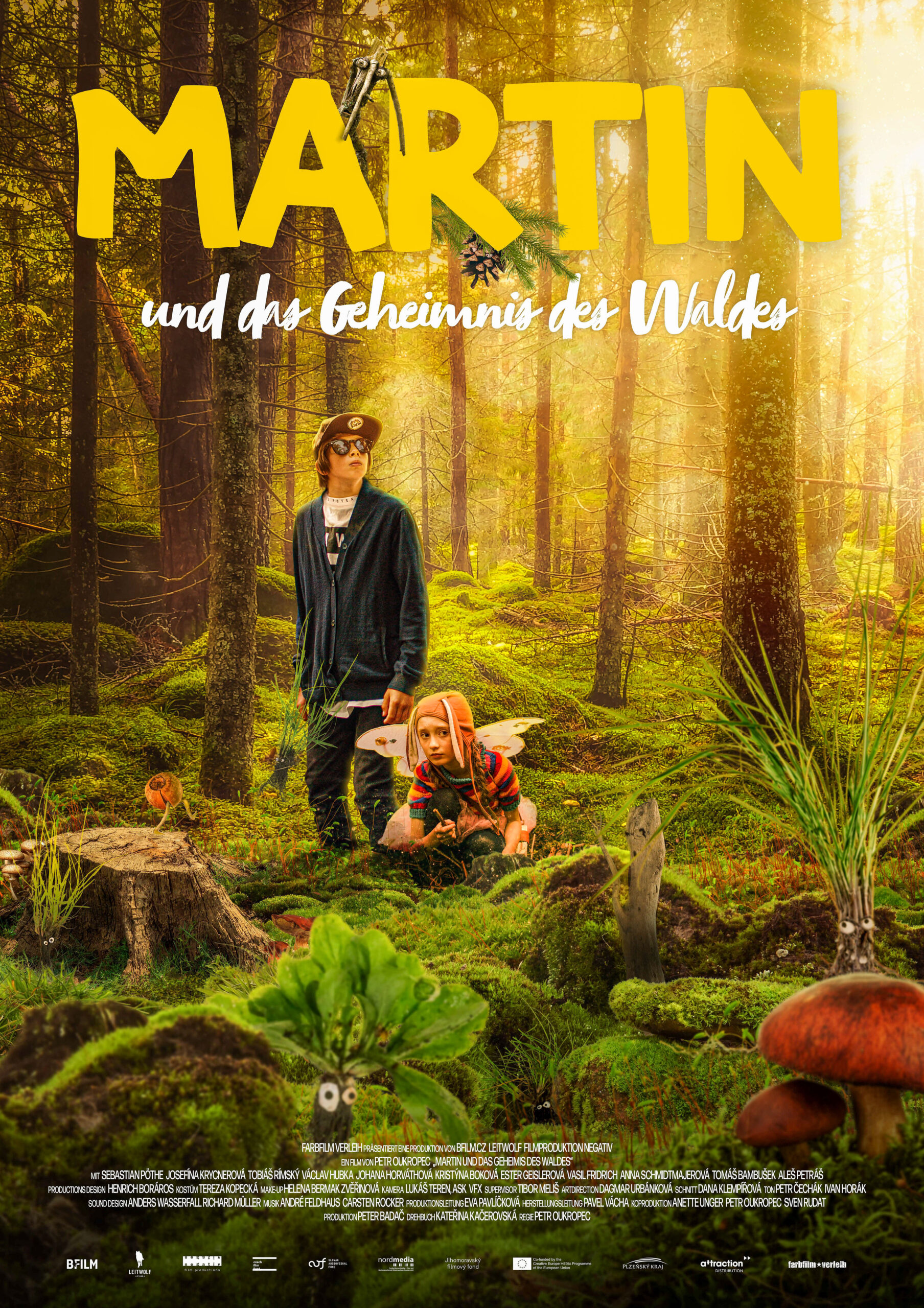 Martin und das Geheimnis des Waldes - Filmplakat